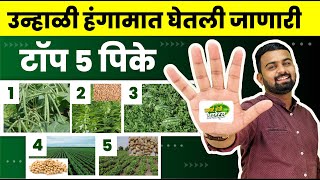 उन्हाळी पिके कोणती घ्यावी | unhali hangam pik konte ghyave | summer season crops