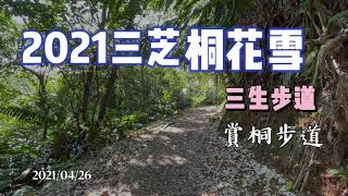 2021三芝桐花季*五月雪桐花小徑》三生步道》賞桐步道〉走在詩情畫意中*竟然出現…