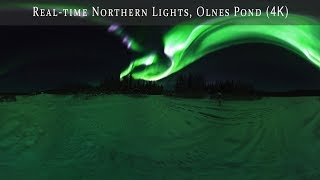 The Aurora Borealis near Fairbanks, Alaska (360 real-time video filmed at 9K)