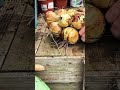 mastering the braiding of newly harvest onions