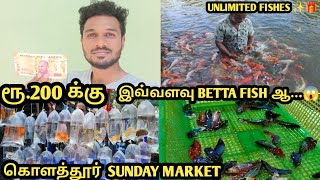 கொளத்தூர் sunday market | UNLIMITED FISHES FOR 200 | buying more fishes for only 200|karan duplessis