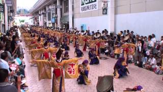 十人十彩　～2014高知よさこい祭り・本祭２日目(帯屋町演舞場)