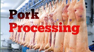 Modern pig farming in the world - Million dollar pork processing technology