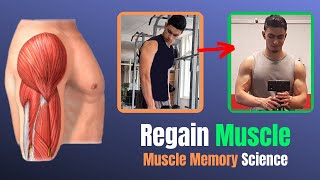How To Rebuild Muscle After A Break (3 Science-Based Tips)