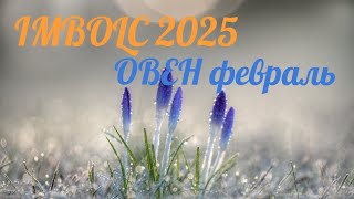 ОВЕН ТАРО ФЕВРАЛЬ 2025 #таро #tarot #подпишись #рекомендации #imbolc #имболк