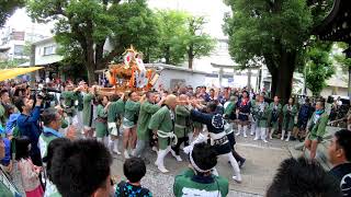 [横浜]橘樹神社例大祭本祭・天王町会神輿の宮出し 2019.6.9.