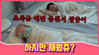 등센서 심한 아기 눕혀서 재우는법?(눕히는 타이밍, 수면환경, 쌍둥이 육아, 베개 선택)