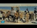 Nomads – a civilization of savages or inventors? «Searching for Mystery» | Jibek Joly TV