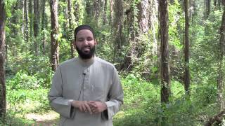 Ali ibn Abu-Talib [ra] (#TrustAllah) - Omar Suleiman - Quran Weekly
