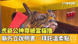 虎爺公神尊被當貓撸　廟方立說明書：拜託溫柔點｜華視新聞 20230502