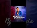 nghenelela jehovah single track