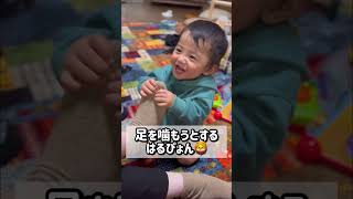 【生後10ヶ月】なんでも噛みたいお年頃🦁#shorts #baby #babyboy #赤ちゃん #はるぴょんの日常