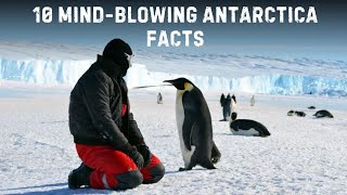 10 Mind-Blowing Facts About Antarctica You Didn't Know!