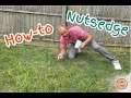 How to Treat NutSedge in your Lawn