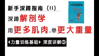 《力量训练基础》③深蹲解剖学，教你如何使用更多肌肉，举起更大的重量（strating strength book review）