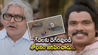 ఈ ఊళ్ళో పుట్టిన మనుషులకైనా పశువులకైనా ఒక్కటే భర్త ఒక్కటే భార్య ఇదే ఈ క్యాలిఫ్లవర్ రూల్ | SHM