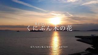 くにぶん木の花　（BEGIN  カバー）　　　kathy