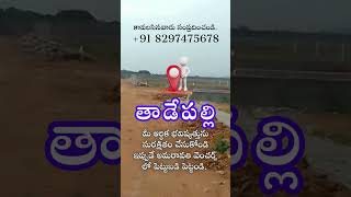 Buy APCRDA Open Plots in Tadepalli for Sale || Tadepalli Land for Sale || Call: +91 8297475678