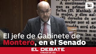 El jefe de Gabinete de Montero dice en el Senado que «jamás» ha recibido «pagos o regalos» de Aldama