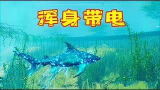 【食人鲨】第13期：我开启新的天赋浑身充满电流，顶级钝吻鳄都不是我的对手 | 小歪解说