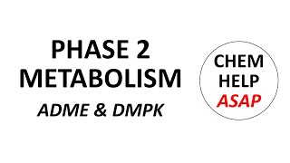 phase 2 drug metabolism