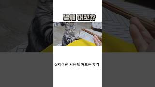 살아생전 처음 맡아보는 향기#funnyvideo #귀여운고양이