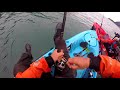 127lbs halibut off a hobie outback kayak seward ak