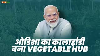 ओडिशा का कालाहांडी बना vegetable hub | पीएम श्री नरेन्द्र मोदी