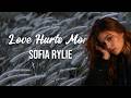 Love Hurts More - The Song Telling You How Love Hurts Your Heart - Sofia Rylie