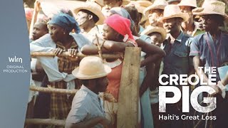 The Creole Pig: Haiti's Great Loss - A WLRN Original Production