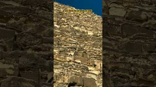 Dog Climbing Pyramid in Egypt #archaeology #solar #shorts #history #egypt #ancientegypt #ancient