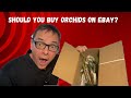 Should you buy orchids on eBay?