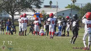 8U Tampa Bay Jaguars vs Northeast Bandits