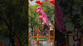 💦水上梅花桩惊险又刺激🦁中国舞狮还得看广东！💯👍