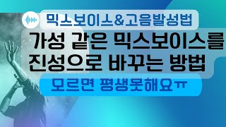 발성Tip) 가성 같은 믹스보이스가 진성으로 바뀌는 과정