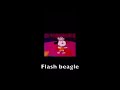 FlashBeagle