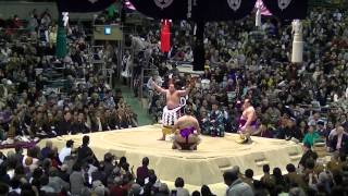 大相撲大阪場所　2015.3.13　白馬富士　土俵入り