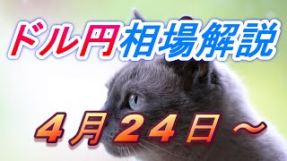 【TAKA FX】ドル円為替相場の今週の動きと来週の展望をチャートから解説。日経平均、NYダウ、金チャートも。4月24日～