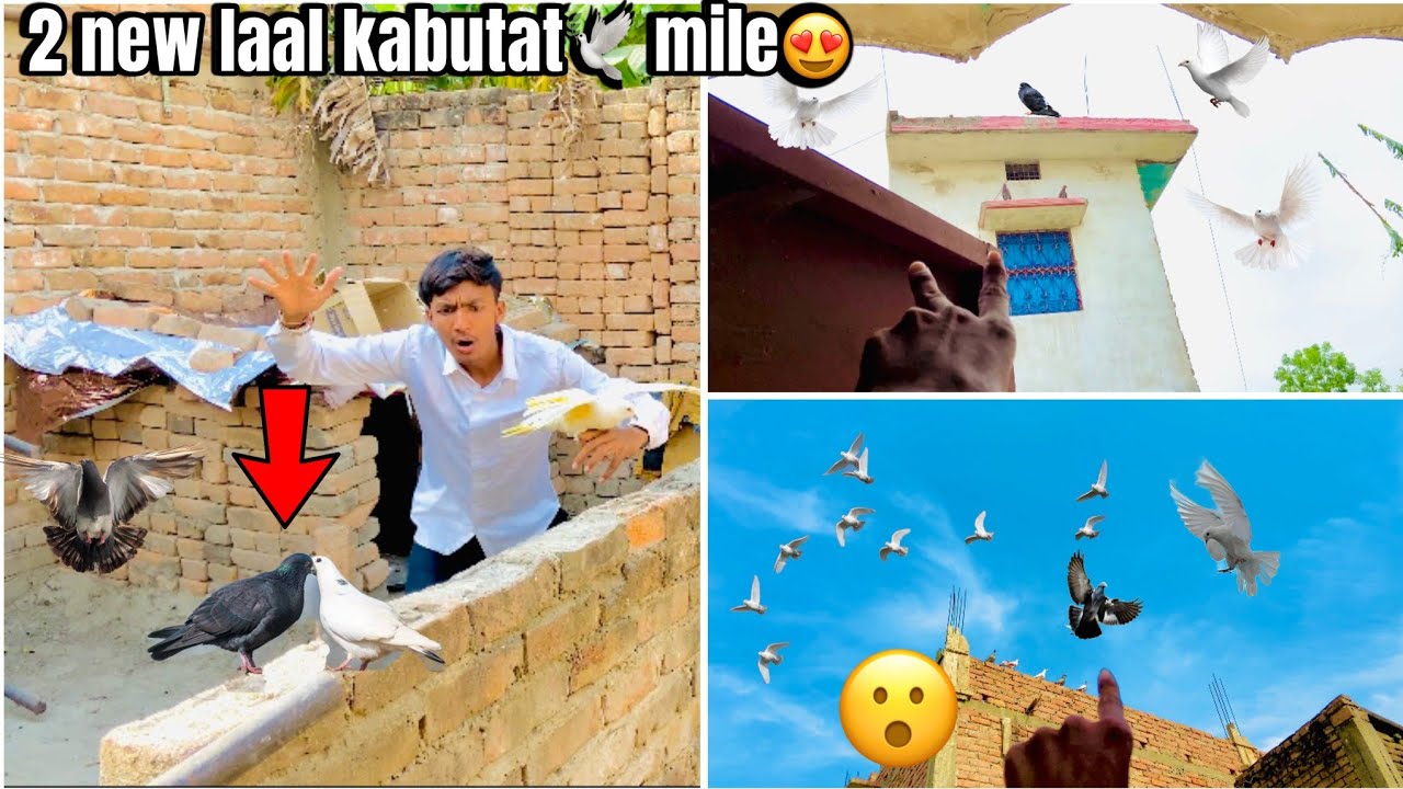 22 April 2024 Youtube