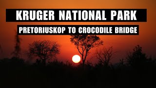 Ep 2 | KRUGER NATIONAL PARK | ULTIMATE SELF DRIVE SAFARI | DAY 2 – PRETORIUSKOP TO CROCODILE BRIDGE