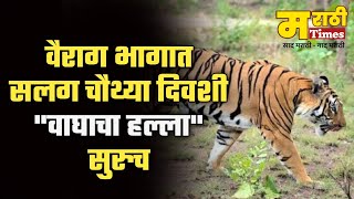 Barshi tiger news | वैराग भागात सलग चौथ्या दिवशी \