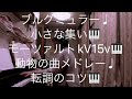 繁田真紀ピアノ教室🎹ブルグミュラー♩小さな集い♩モーツァルトkv 15v🎹動物の曲メドレー♩簡単ピアノアレンジのコツ🎹