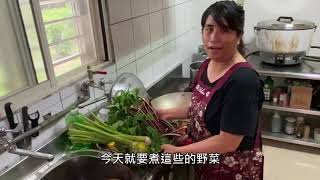 阿美族野菜文化