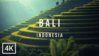 FLYING OVER BALI - The Paradise of Asia (4K UHD)