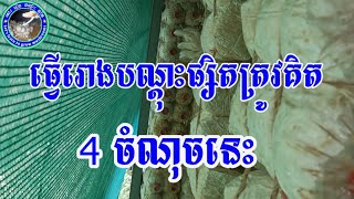 រឿងសំខាន់ត្រូវដឹងមុនធ្វើរោងបណ្តុះផ្សិត