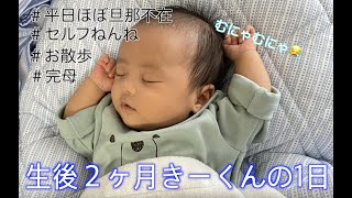 【生後2ヶ月】赤ちゃんの1日の過ごし方