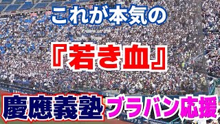 【高校野球応援】9回表逆転3ラン！　エグすぎる大声量！これが慶応本気の「若き血」　【神奈川大会決勝　慶應義塾 vs 横浜高校 】2023.7.26　ブラバン応援　野球応援