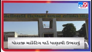 ધોરાજી માર્કેટિંગ યાર્ડમાં ધાણાની મબલખ આવક |Tv9gujaratinews