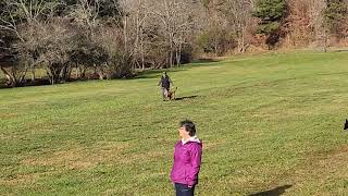 Inka Ot Vitosha American Schutzhund BT Obedience 11/24/24