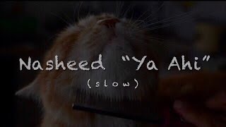 Nasheed/ Ya Ahi 🫀 (slow) 🔥 Очень грустный нашид, слушайте и наслаждайтесь 🫀🎧